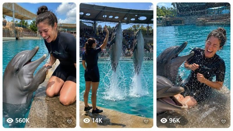DOLPHIN TRAINER SHOWS